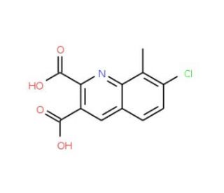 7-Chloro-8-methylquinoline-2,3-dicarboxylic acid (CAS 948290-40-2) - chemical structure image