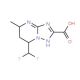 7-(Difluoromethyl)-5-methyl-4,5,6,7-tetrahydro-[1,2,4]triazolo[1,5-a]pyrimidine-2-carboxylic acid - chemical structure image