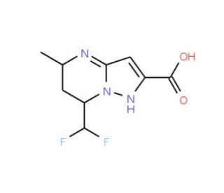 7-(Difluoromethyl)-5-methyl-4,5,6,7-tetrahydro-pyrazolo[1,5-a]pyrimidine-2-carboxylic acid - chemical structure image