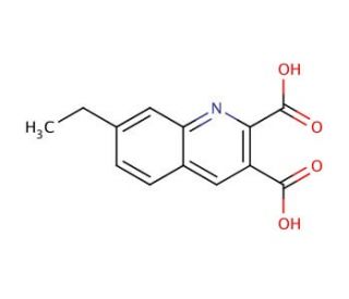 7-Ethylquinoline-2,3-dicarboxylic acid (CAS 948290-58-2) - chemical structure image