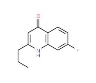 7-Fluoro-2-propyl-4-quinolinol (CAS 1070879-94-5) - chemical structure image