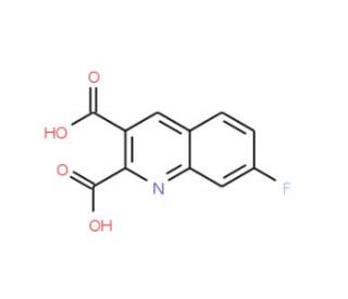 7-Fluoroquinoline-2,3-dicarboxylic acid (CAS 110139-62-3) - chemical structure image