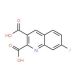 7-Fluoroquinoline-2,3-dicarboxylic acid (CAS 110139-62-3) - chemical structure image