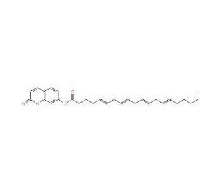 7-HC-arachidonate (CAS 161180-11-6) - chemical structure image