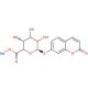 7-Hydroxy Coumarin β-D-Glucuronide Sodium Salt (CAS 168286-98-4) - chemical structure image