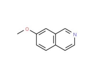 7-Methoxyisoquinoline (CAS 39989-39-4) - chemical structure image