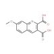 7-Methoxyquinoline-2,3-dicarboxylic acid (CAS 948290-89-9) - chemical structure image