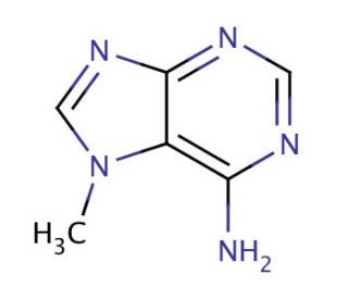 7-Methyladenine (CAS 935-69-3) - chemical structure image