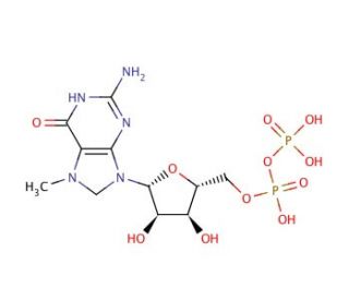 7-Methylguanosine 5′-diphosphate sodium salt (CAS 104809-16-7) - chemical structure image