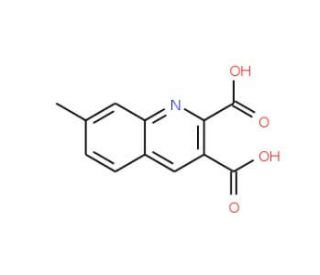 7-Methylquinoline-2,3-dicarboxylic acid (CAS 948291-03-0) - chemical structure image