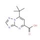 7-tert-Butyl-[1,2,4]triazolo[1,5-a]pyrimidine-5-carboxylic acid - chemical structure image