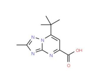 7-tert-Butyl-2-methyl-[1,2,4]triazolo[1,5-a]-pyrimidine-5-carboxylic acid - chemical structure image