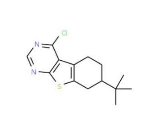 7-tert-Butyl-4-chloro-5,6,7,8-tetrahydro-benzo[4,5]thieno[2,3-d]pyrimidine - chemical structure image