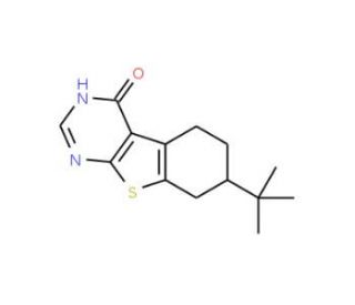 7-tert-Butyl-5,6,7,8-tetrahydro-3H-benzo[4,5]-thieno[2,3-d]pyrimidin-4-one - chemical structure image