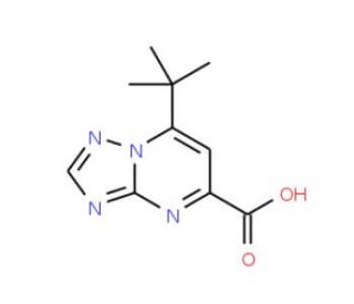 7-tert-butyl[1,2,4]triazolo[1,5-a]pyrimidine-5-carboxylic acid - chemical structure image