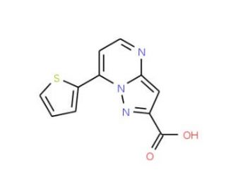 7-Thiophen-2-yl-pyrazolo[1,5-a]pyrimidine-2-carboxylic acid - chemical structure image