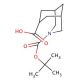 (7exo)-3-(tert-butoxycarbonyl)-3-azabicyclo[3.3.1]nonane-7-carboxylic acid - chemical structure image