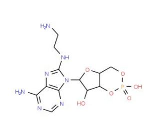 8-(2-Aminoethyl)aminoadenosine-3&prime;,5&prime;-cyclic monophosphate (CAS 61363-29-9) - chemical structure image