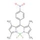 8-(4-Nitrophenyl) Bodipy (CAS 321895-92-5) - chemical structure image