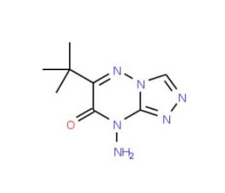 8-amino-6-tert-butyl[1,2,4]triazolo[4,3-b][1,2,4]triazin-7(8H)-one - chemical structure image