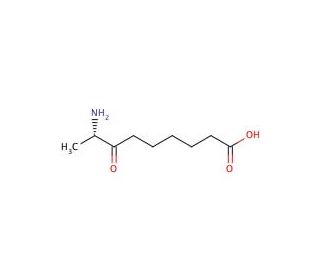 8-Amino-7-oxopelargonic Acid Hydrochloride - chemical structure image