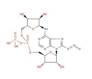 8-Azido-cyclic adenosine diphosphate-ribose (CAS 150424-94-5) - chemical structure image