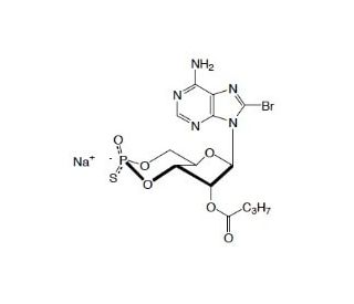 8-Bromo-2&prime;-monobutyryladenosine-3&prime;,5&prime;-cyclic monophosphorothioate, Rp-isomer (CAS 788807-32-9) - chemical structure image