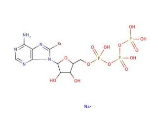 8-Bromoadenosine 5&prime;-triphosphate sodium salt (CAS 81035-56-5) - chemical structure image