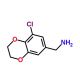 (8-chloro-2,3-dihydro-1,4-benzodioxin-6-yl)methylamine (CAS 923215-34-3) - chemical structure image