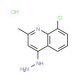 8-Chloro-4-hydrazino-2-methyl-quinoline hydrochloride (CAS 1170878-45-1) - chemical structure image