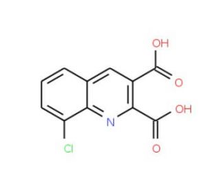 8-Chloroquinoline-2,3-dicarboxylic acid (CAS 892874-58-7) - chemical structure image