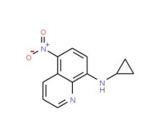 8-Cyclopropylamino-5-nitroquinoline (CAS 1099929-70-0) - chemical structure image