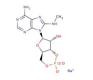 8-MA-cAMP (CAS 33823-18-6) - chemical structure image