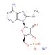 8-MA-cAMP (CAS 33823-18-6) - chemical structure image