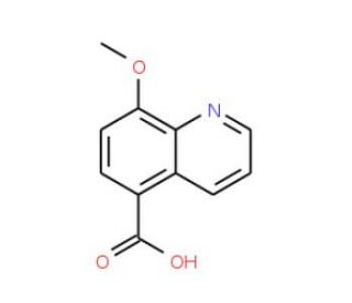 8-Methoxyquinoline-5-carboxylic acid (CAS 199871-63-1) - chemical structure image