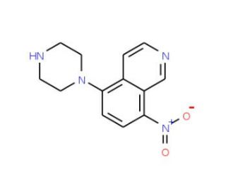 8-nitro-5-piperazin-1-ylisoquinoline - chemical structure image