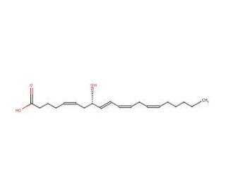 8(S)-HETE (CAS 98462-03-4) - chemical structure image
