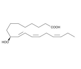 9(S)-HpOTrE (CAS 111004-08-1) - chemical structure image