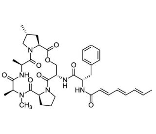 A54556A - chemical structure image