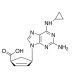 Abacavir Carboxylate (CAS 384380-52-3) - chemical structure image