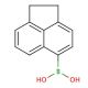 Acenaphthene-5-boronic acid (CAS 183158-33-0) - chemical structure image