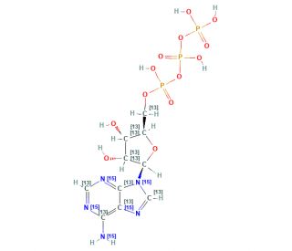 Adenosine-13C10,15N5 5&prime;-triphosphate sodium salt solution (CAS 285978-15-6) - chemical structure image