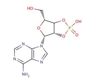 Adenosine 2&prime;,3&prime;-Cyclic Phosphate Triethylammonium Salt (CAS 73647-07-1) - chemical structure image