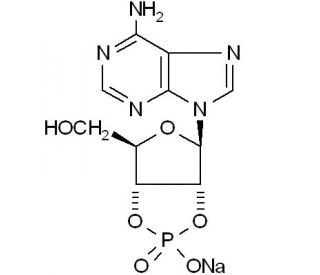Adenosine 2&prime;:3&prime;-cyclic monophosphate sodium salt (CAS 37063-35-7) - chemical structure image