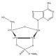 Adenosine 2′,3′-Cyclic Phosphate-13C5 Triethylammonium Salt - chemical structure image