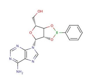 Adenosine-2&prime;,3&prime;-O-phenylboronate (CAS 4710-68-3) - chemical structure image