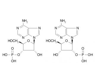 Adenosine 2&prime;(3&prime;)-monophosphate mixed isomers (CAS 130-49-4) - chemical structure image