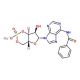 Adenosine 3′,5′-cyclic Monophosphate, N6-Benzoyl-, Sodium Salt (CAS 30275-80-0) - chemical structure image