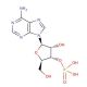 Adenosine 3′-monophosphate (CAS 84-21-9) - chemical structure image