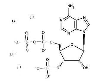 Adenosine 3&prime;-phosphate 5&prime;-phosphosulfate lithium salt (CAS 109434-21-1) - chemical structure image